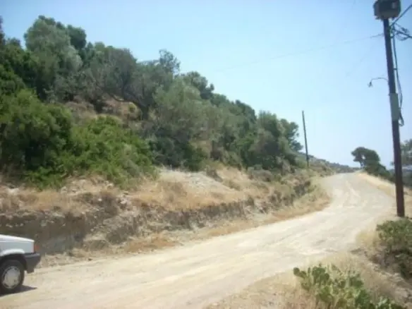 Land Of 116000 M² In Euboea Island