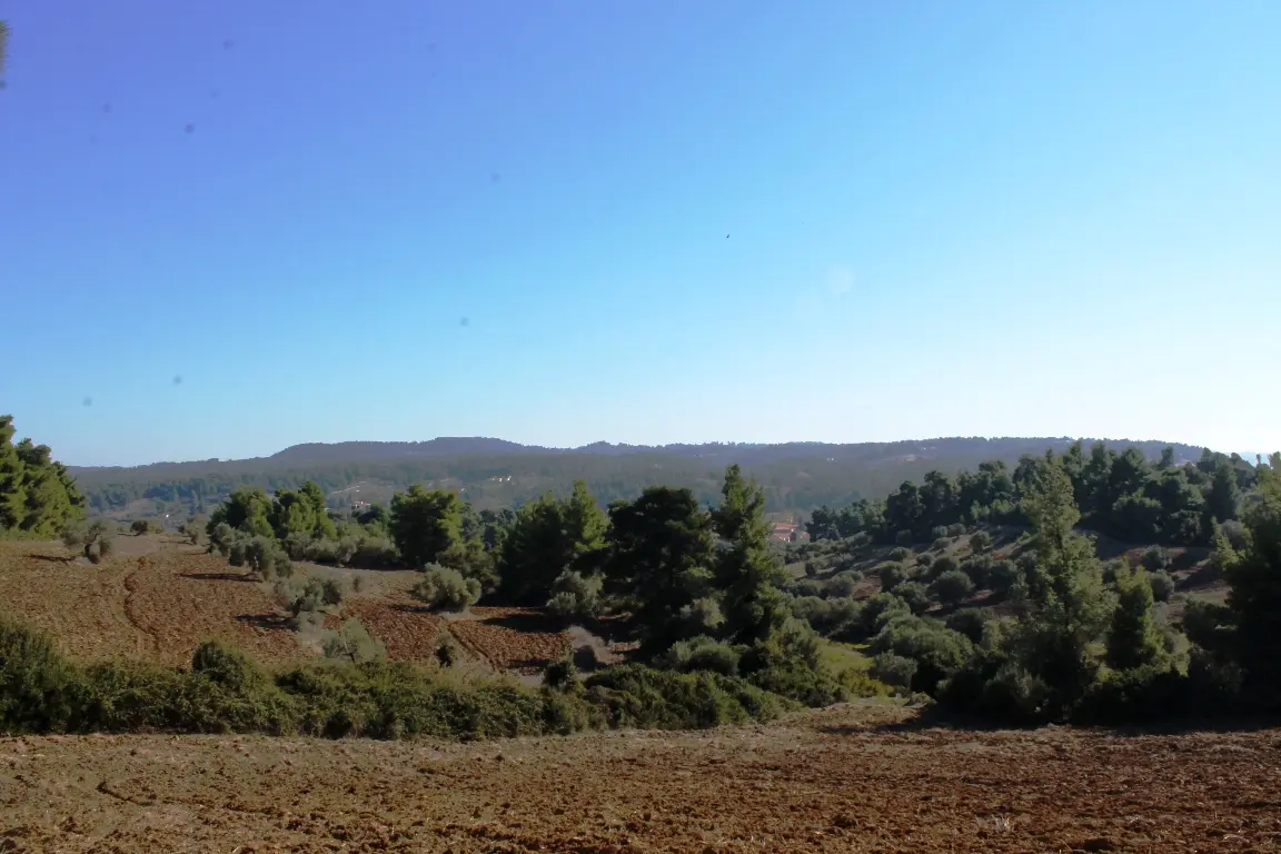 Land Of 9500 M² In Kassandra, Chalkidiki