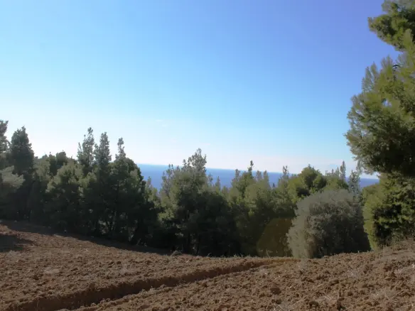 Land Of 9500 M² In Kassandra, Chalkidiki