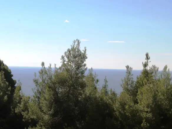 Land In Kassandra, Greece