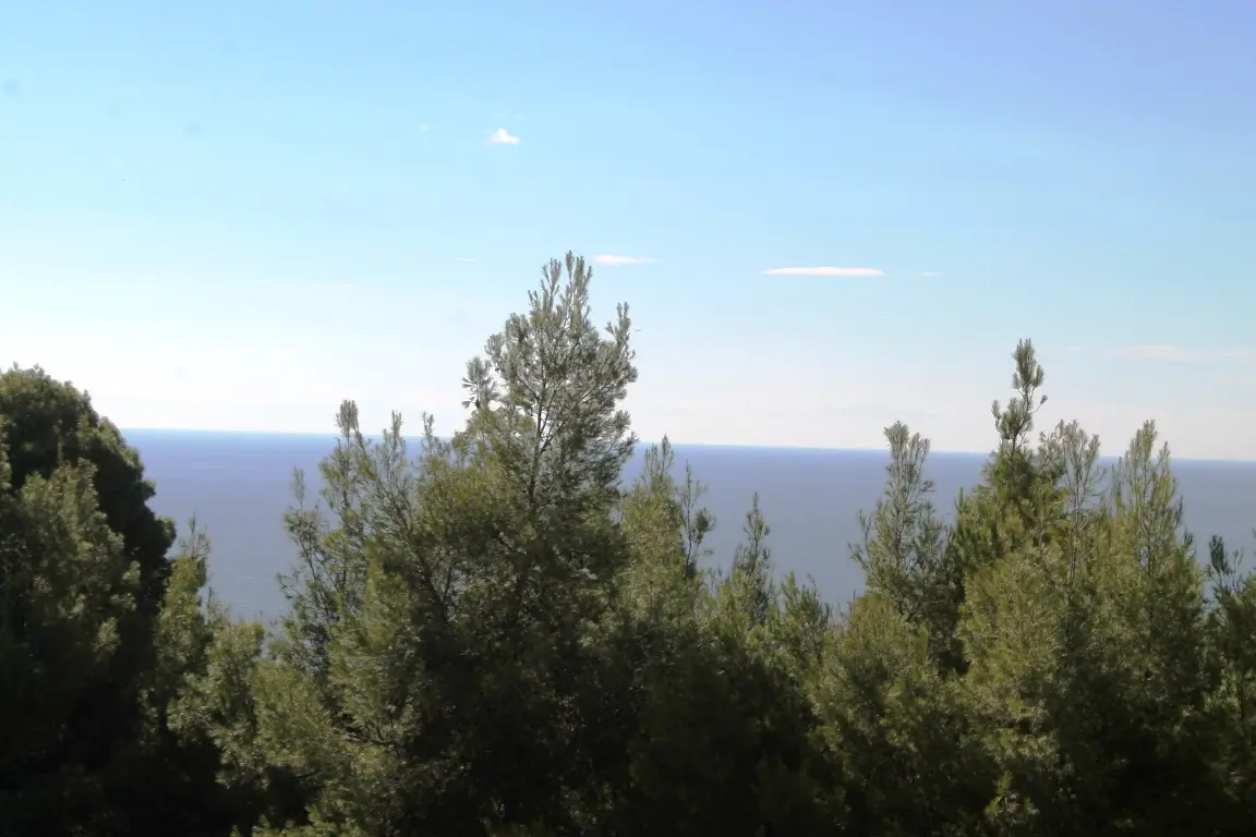Land Of 9500 M² In Kassandra, Chalkidiki