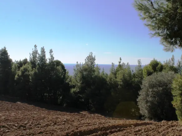 Land In Kassandra, Greece