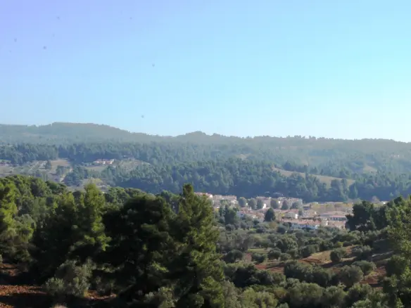 Land In Kassandra, Greece