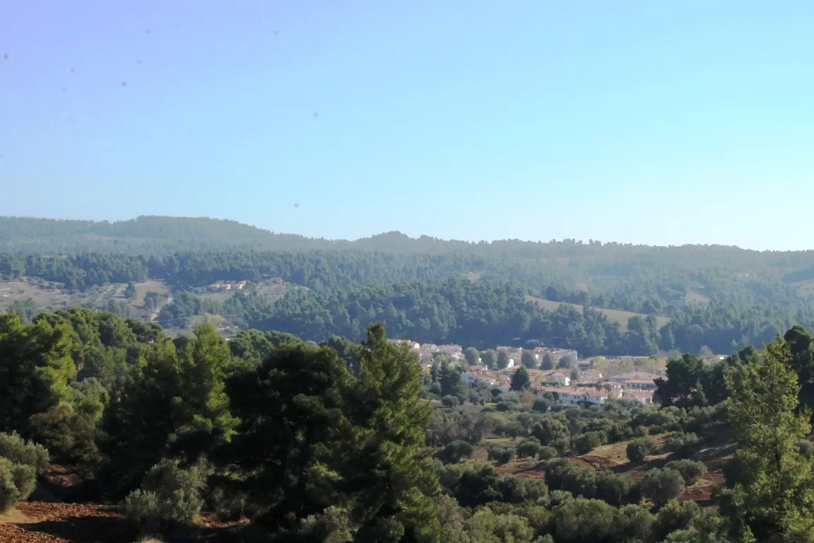Land Of 9500 M² In Kassandra, Chalkidiki