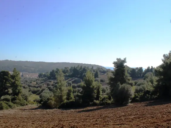 Land In Kassandra, Greece