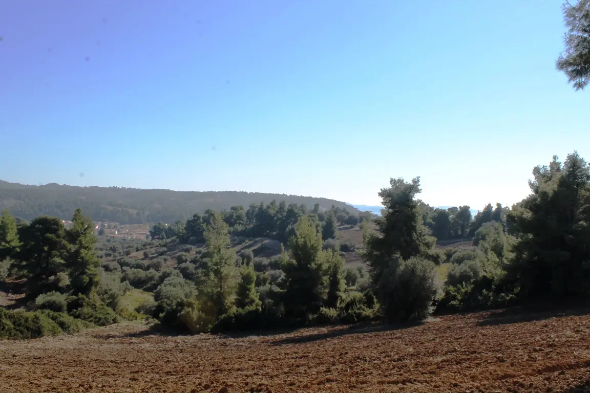 Land Of 9500 M² In Kassandra, Chalkidiki