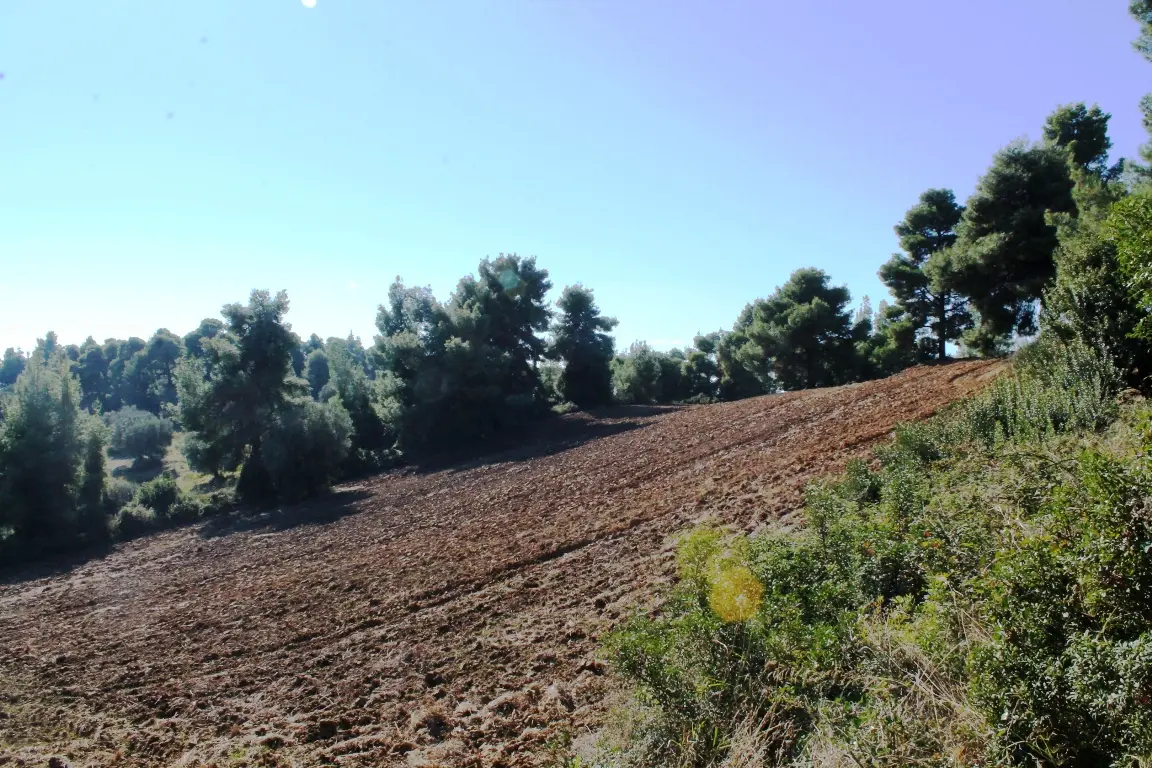 Land Of 9500 M² In Kassandra, Chalkidiki