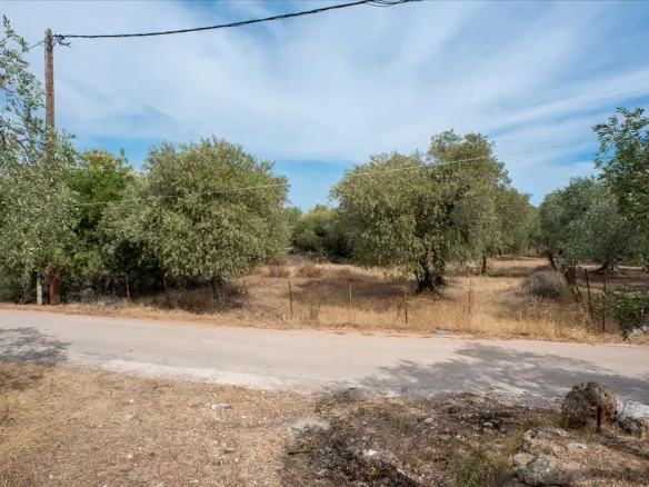 Land Of 776 M² On The Island Of Thassos