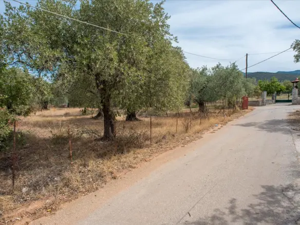 Land In Thasos, Greece