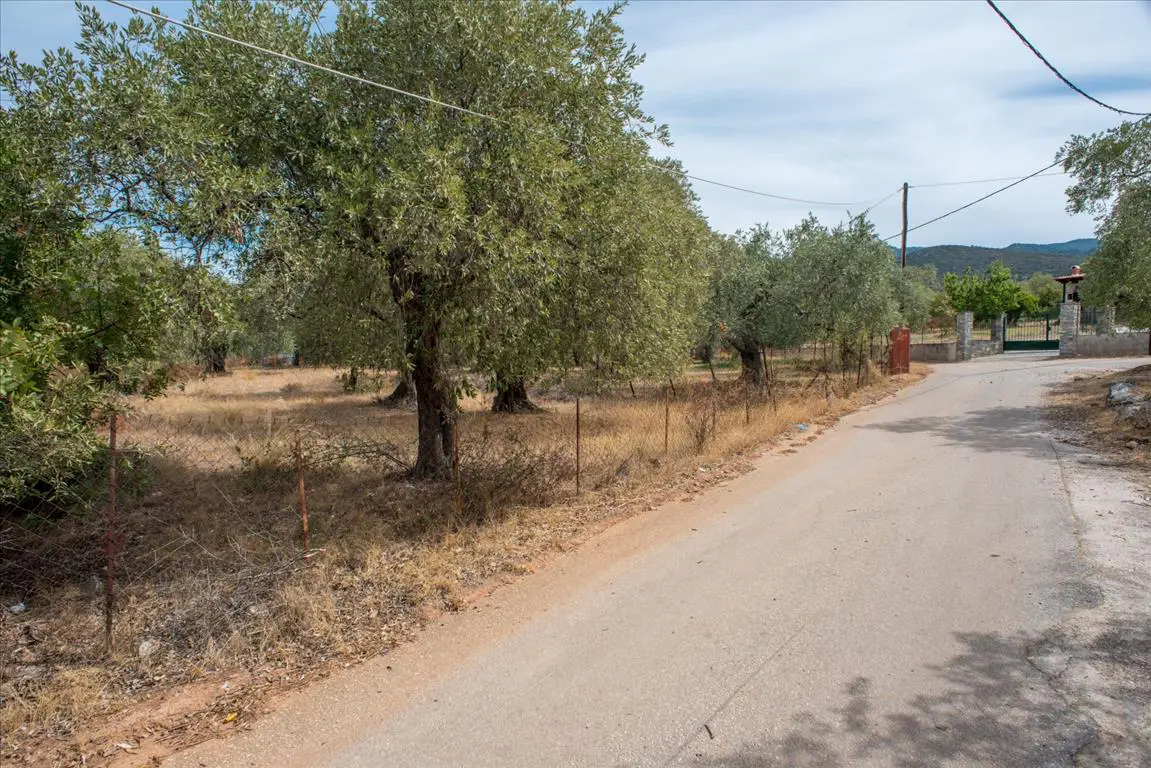 Land Of 776 M² On The Island Of Thassos