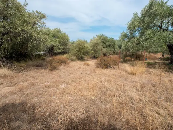 Land In Thasos, Greece