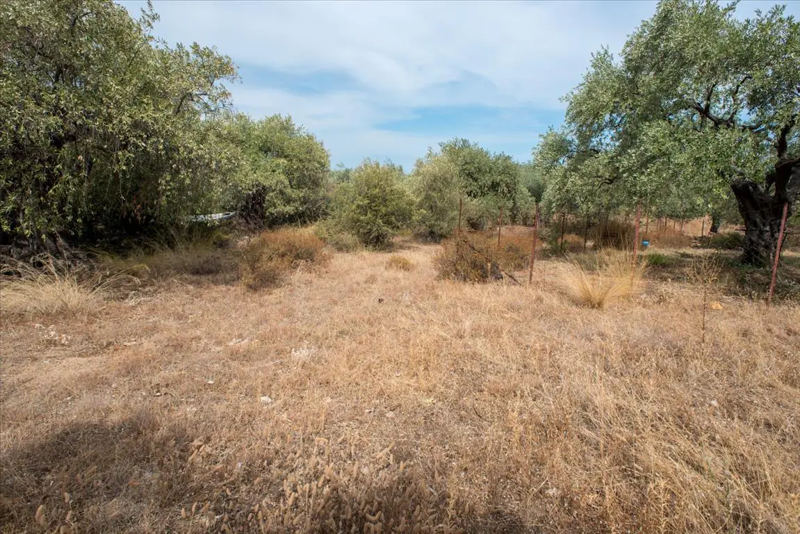 Land Of 776 M² On The Island Of Thassos