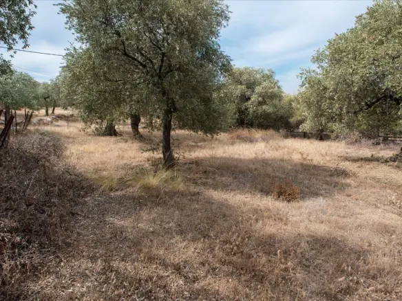 Land In Thasos, Greece