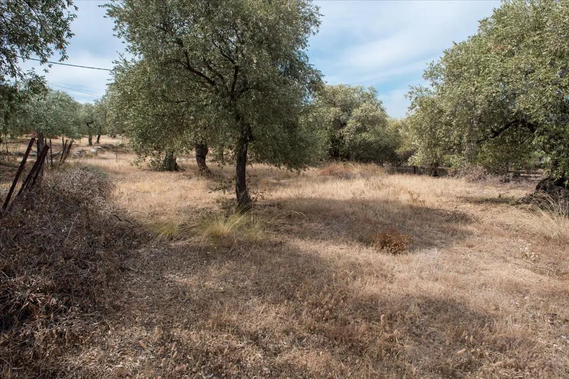 Land Of 776 M² On The Island Of Thassos