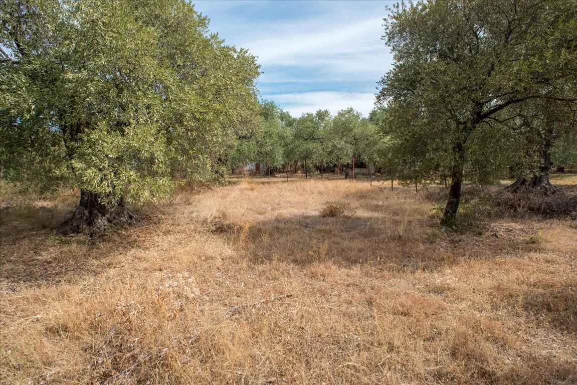 Land Of 776 M² On The Island Of Thassos