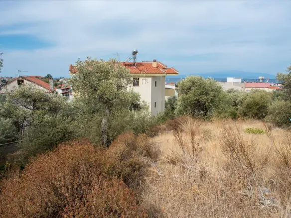 Land Of 1086 M² In Thassos