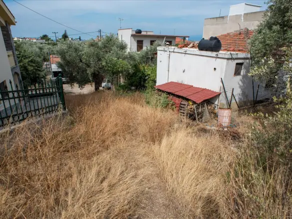Land In Thasos, Greece