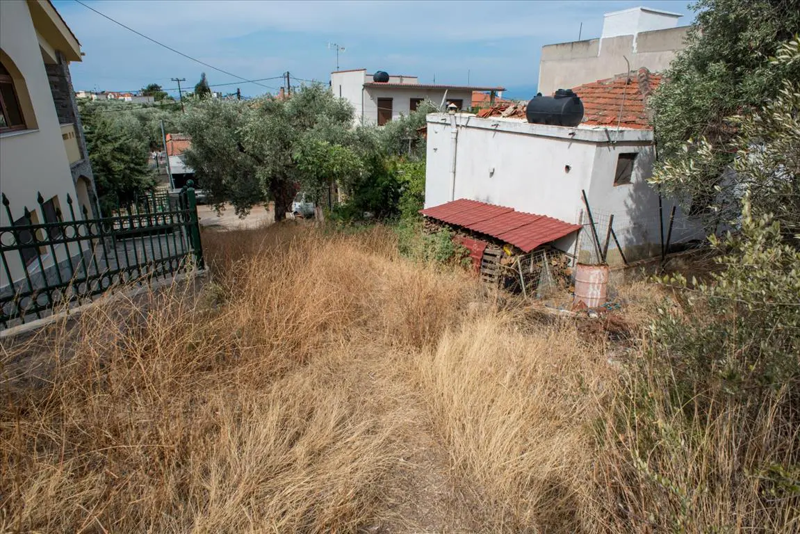 Land Of 1086 M² In Thassos