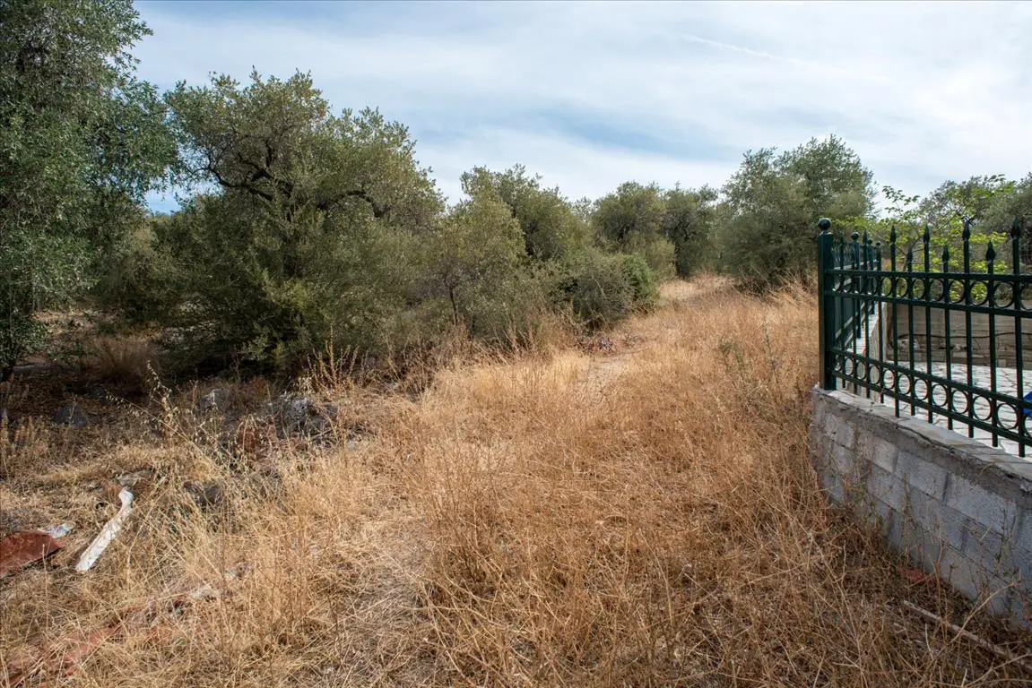 Land Of 1086 M² In Thassos
