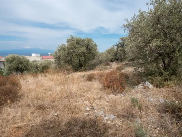 Land In Thasos, Greece