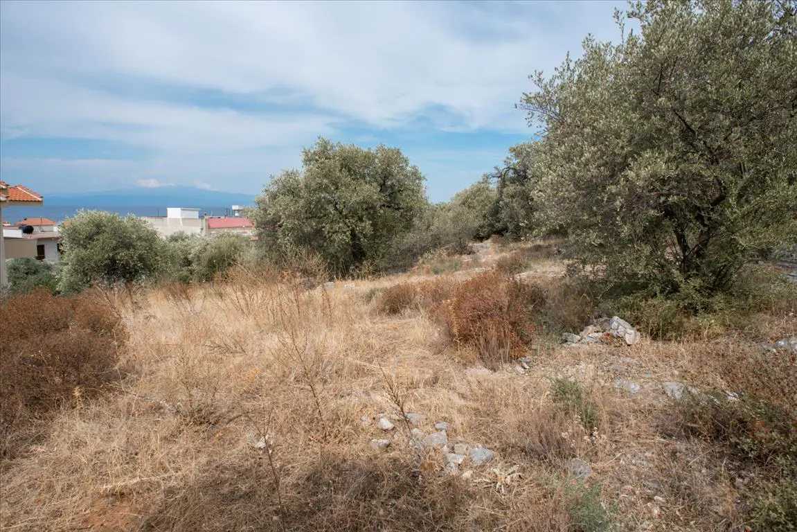Land Of 1086 M² In Thassos