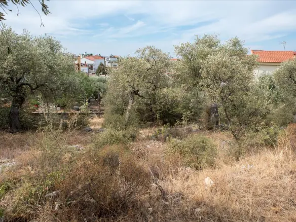 Land In Thasos, Greece