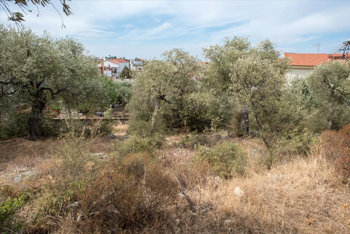 Land Of 1086 M² In Thassos