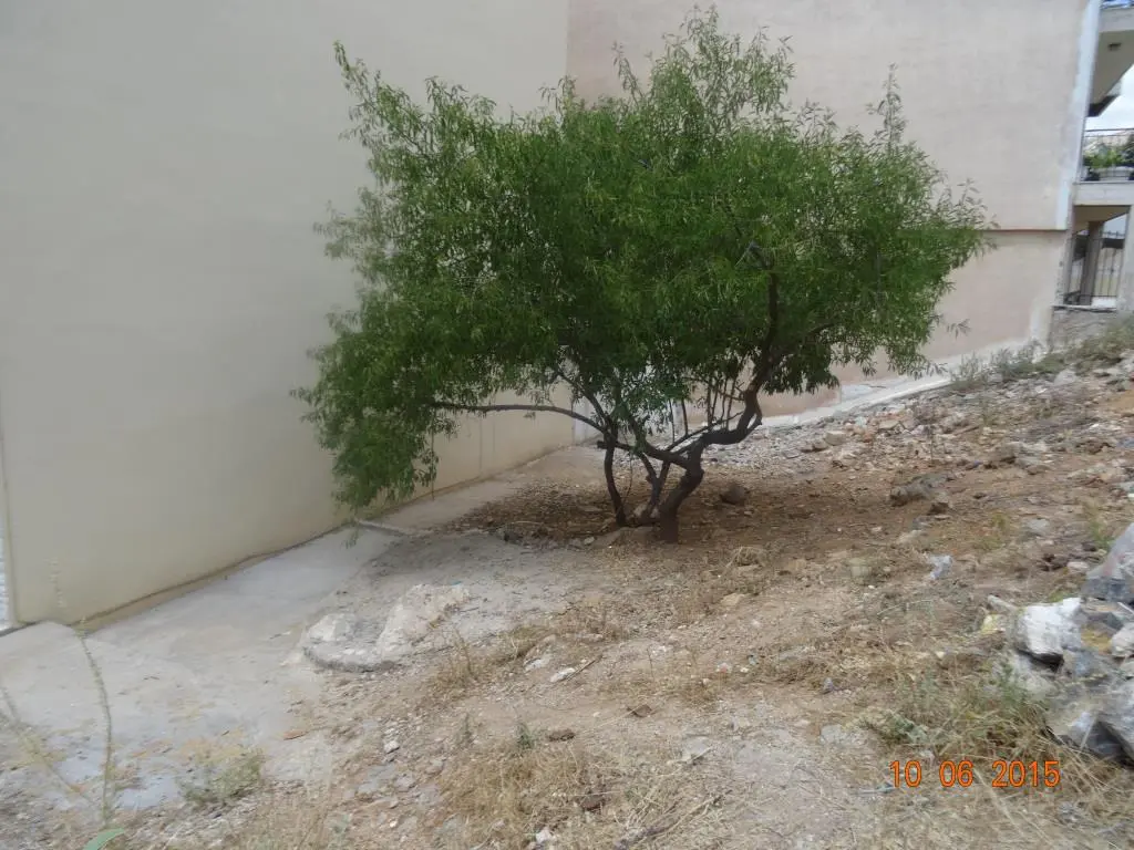 Land Of 230 M² In Athens