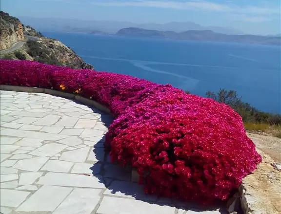 Detached House Of 400 M² In Eastern Peloponnese