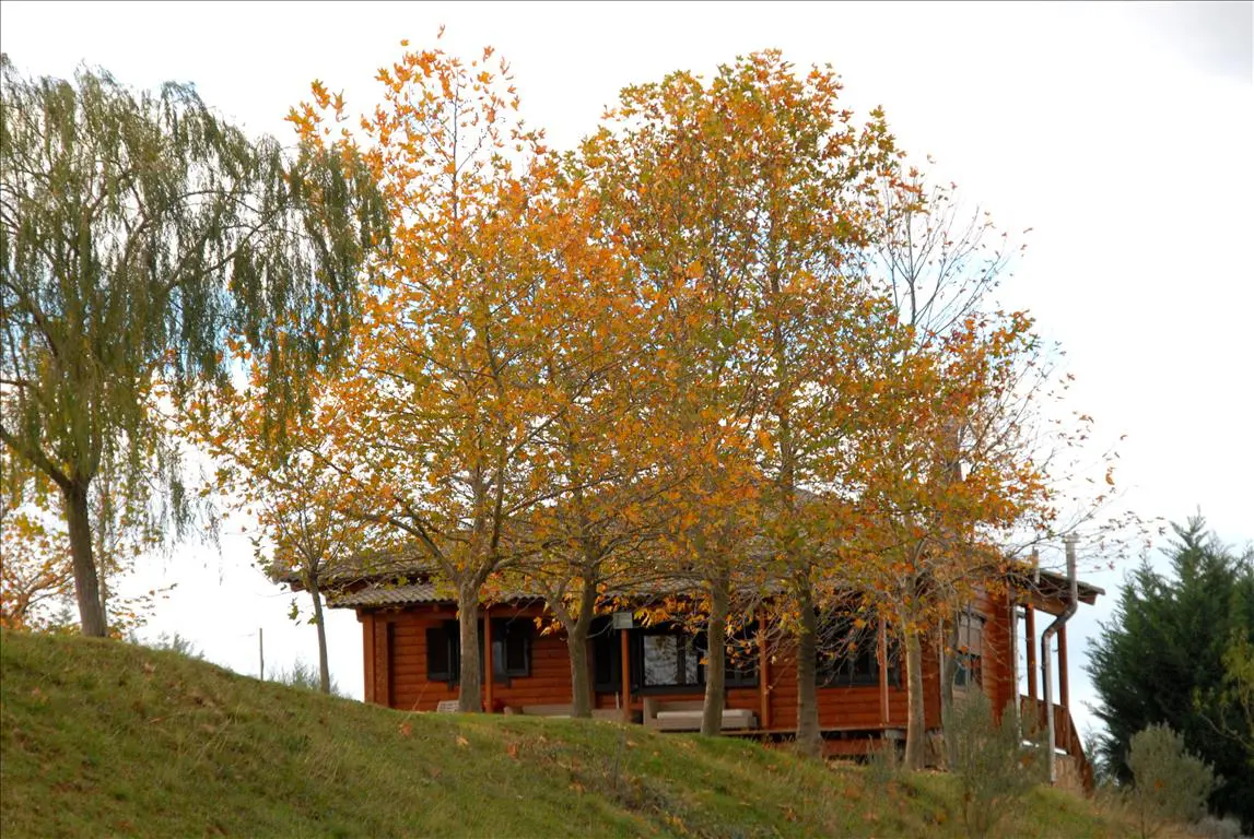 Detached House Of 150 M² In North Greece