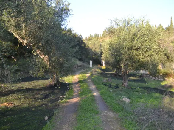 Land In Corfu, Greece