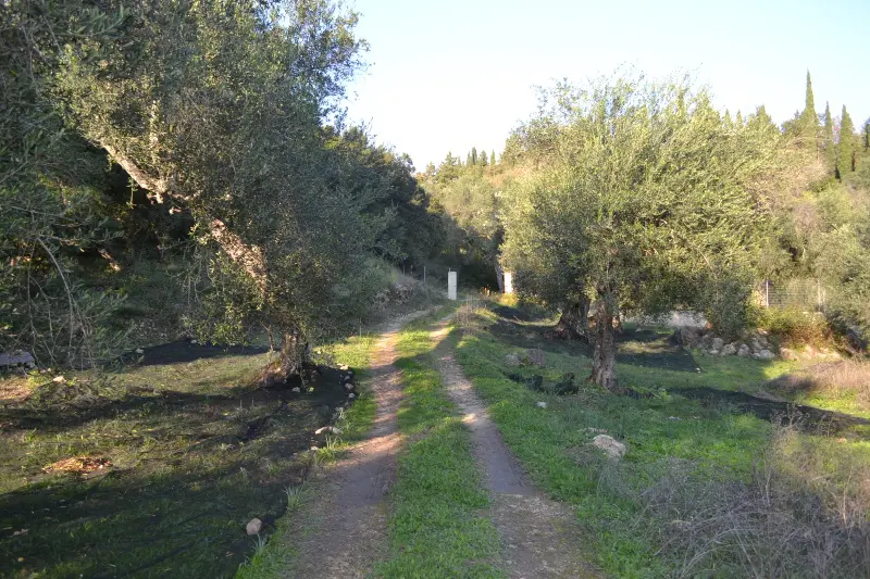Land Of 8253 M² In Corfu