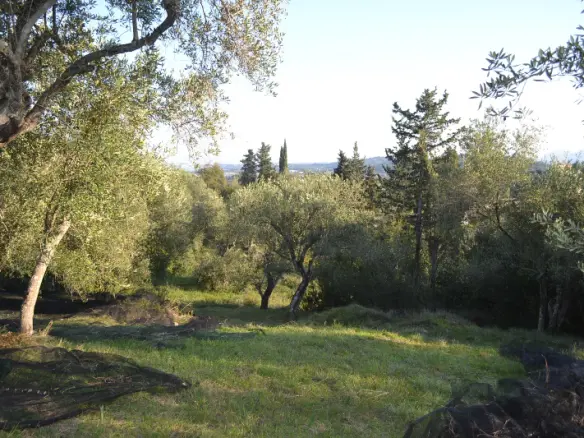 Land Of 8253 M² In Corfu