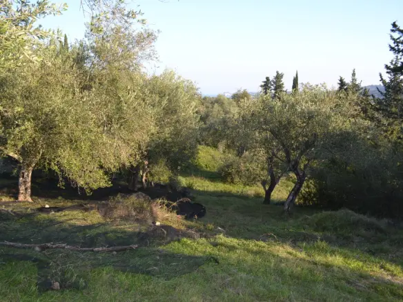 Land In Corfu, Greece
