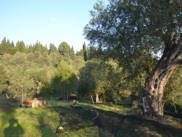 Land In Corfu, Greece