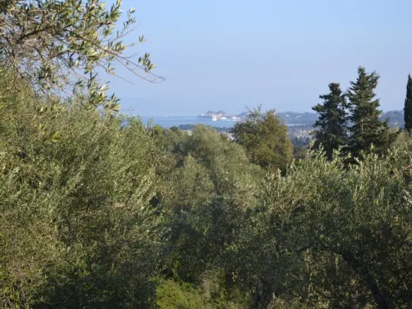 Land In Corfu, Greece