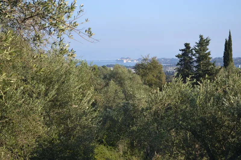 Land Of 8253 M² In Corfu