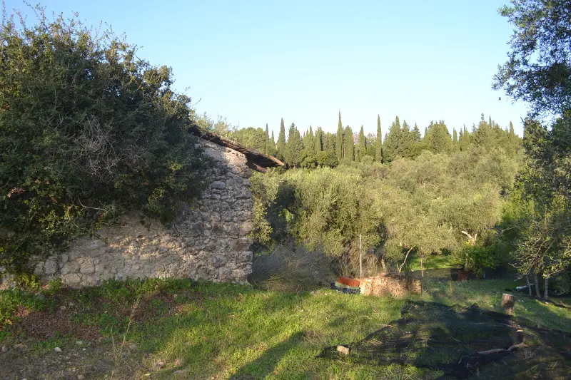 Land Of 8253 M² In Corfu