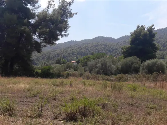 Land Of 6013 M² In Sithonia, Chalkidiki
