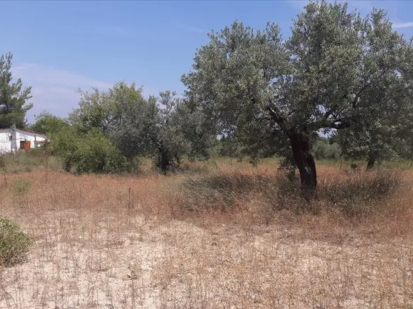 Land In Sithonia, Greece