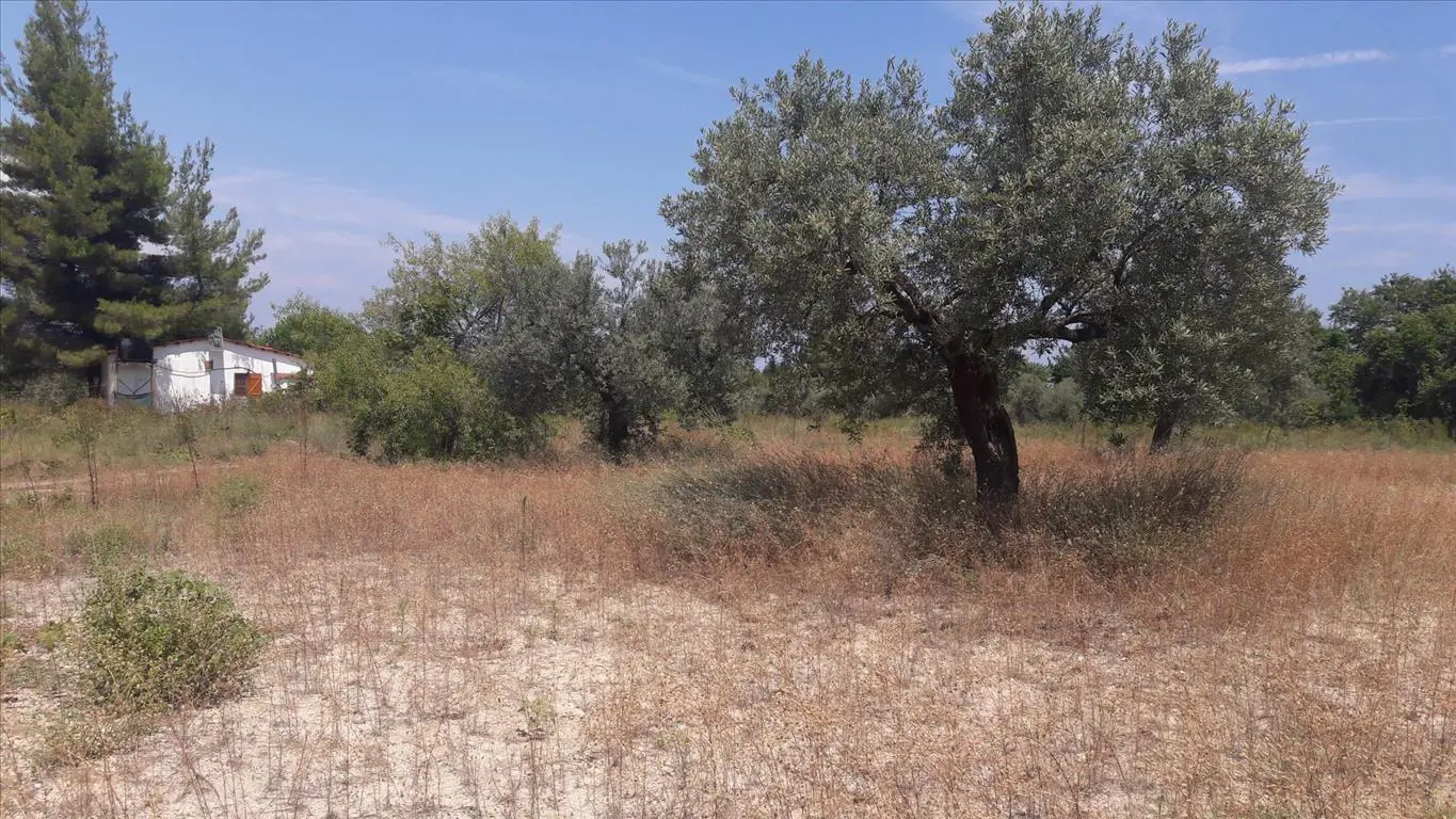 Land Of 6013 M² In Sithonia, Chalkidiki