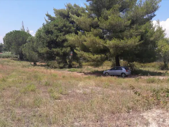 Land In Sithonia, Greece