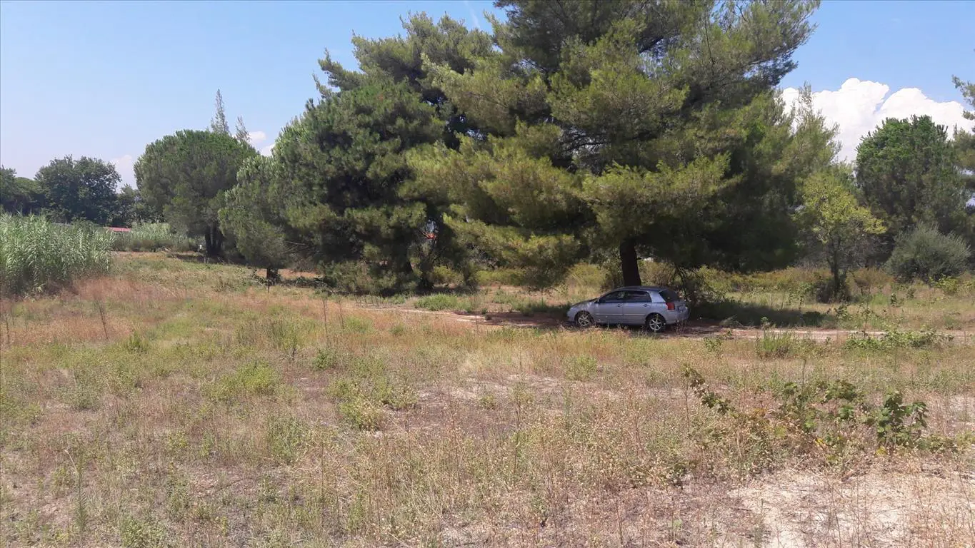 Land Of 6013 M² In Sithonia, Chalkidiki