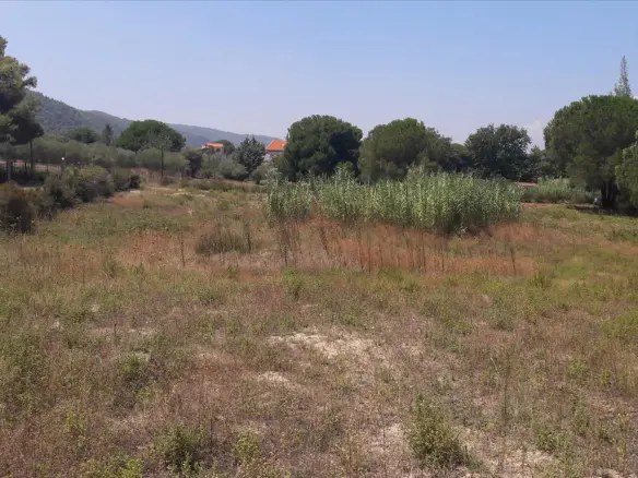 Land In Sithonia, Greece