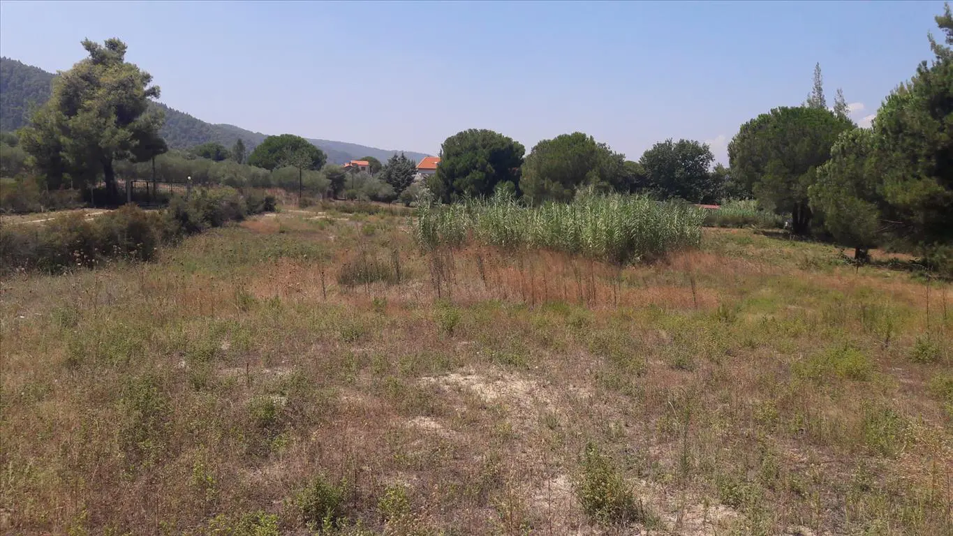 Land Of 6013 M² In Sithonia, Chalkidiki