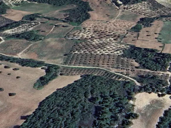 Land Of 4005 M² In Kassandra, Chalkidiki