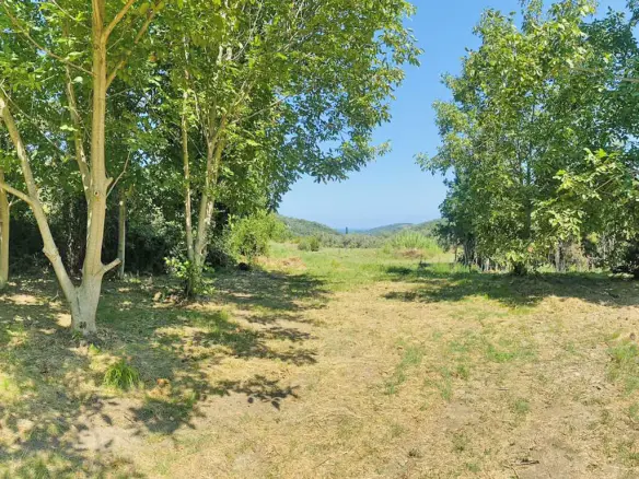 2-bedroom Detached House In Argalasti, Greece (100 M²)