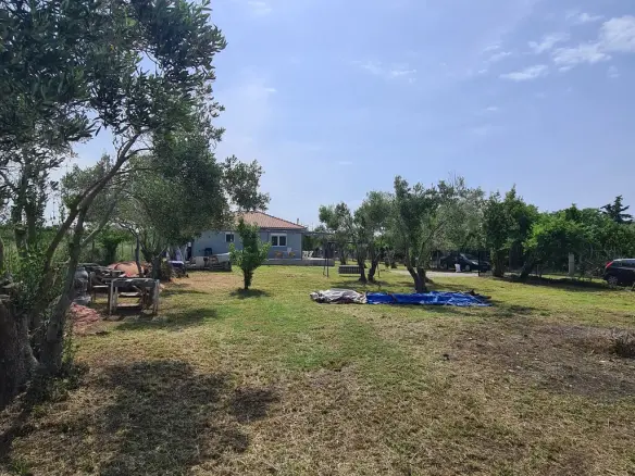 2-bedroom Detached House In Nea Propontida, Greece (77 M²)