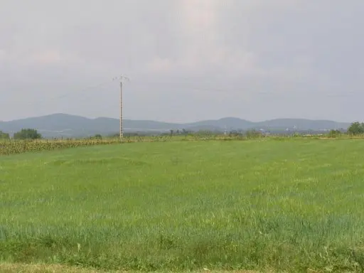 Other Of 0 M² In Autignac, France