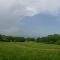 A Regulated Plot Of Land Is For Sale In The Mineral Springs Area